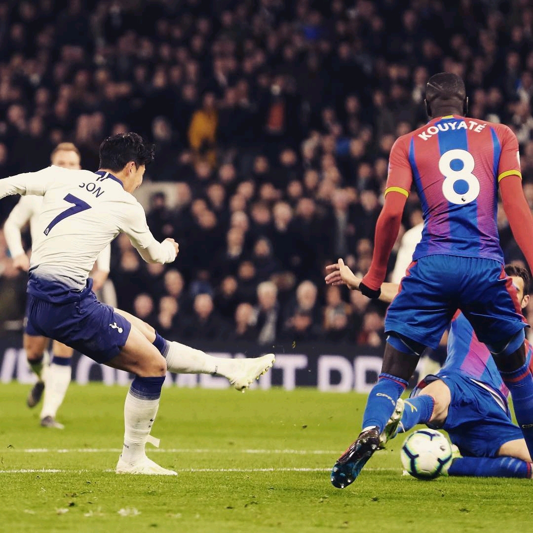 阵营的整体 阵营的整体