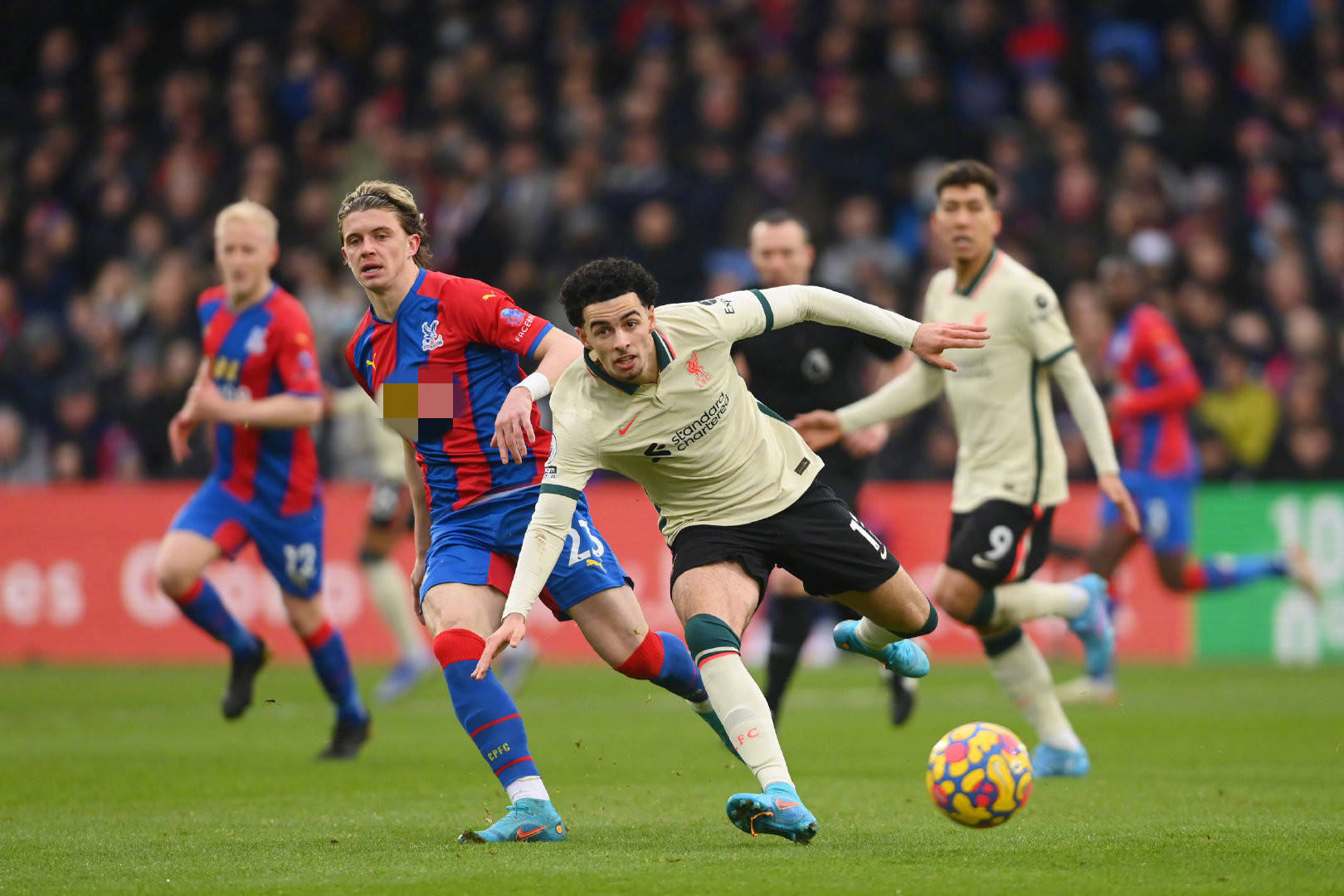 出色的視野 出色的視野